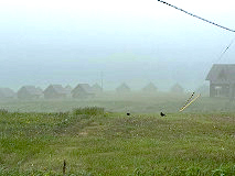 zLv